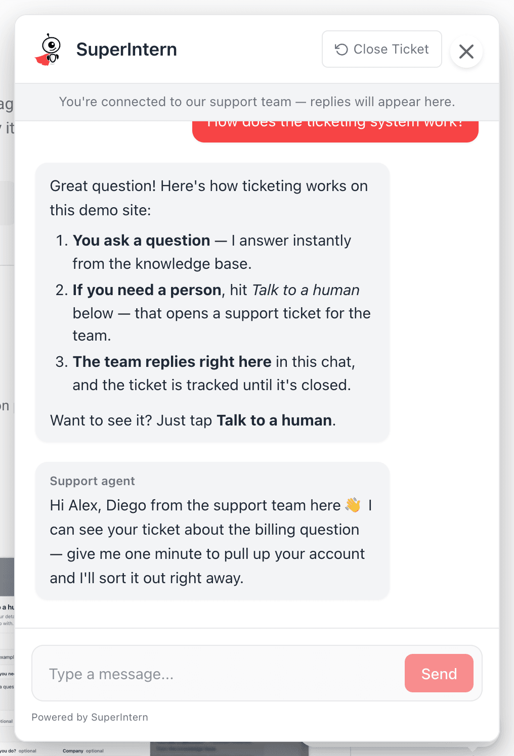 An escalated web chat ticket with its conversation log and case status